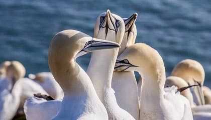 德清2026年最新北京商务伴游经纪招聘渠道分享(最方便真实的德清北京爱特博旅运服务有限责任公司招聘方法)