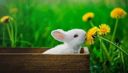 德清2026年最新北京商务伴游经纪招聘渠道分享(最方便真实的德清北京爱特博旅运服务有限责任公司招聘方法)